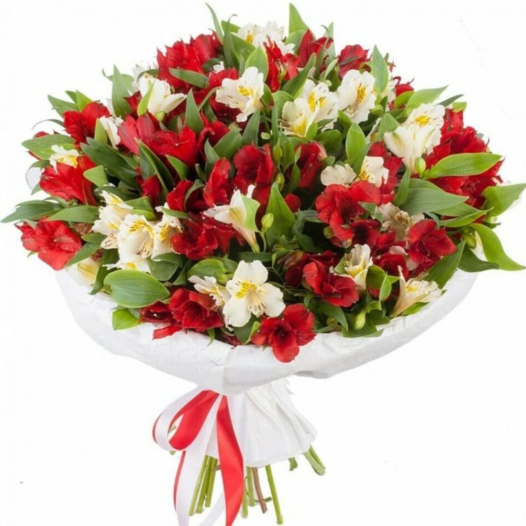 Миг от 6 500 руб.